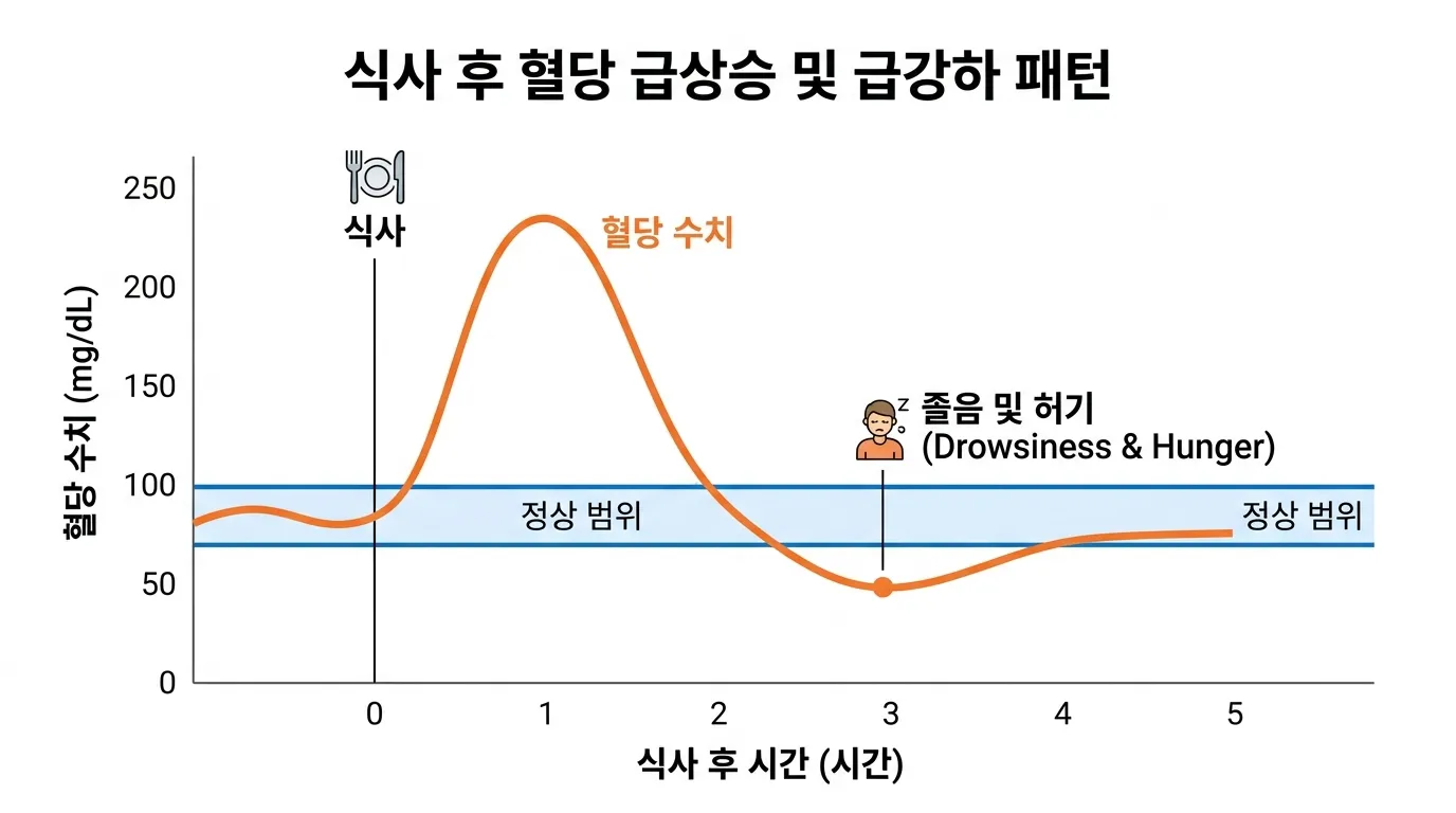 혈당 급등 후 급락과 졸림 패턴 그래프
