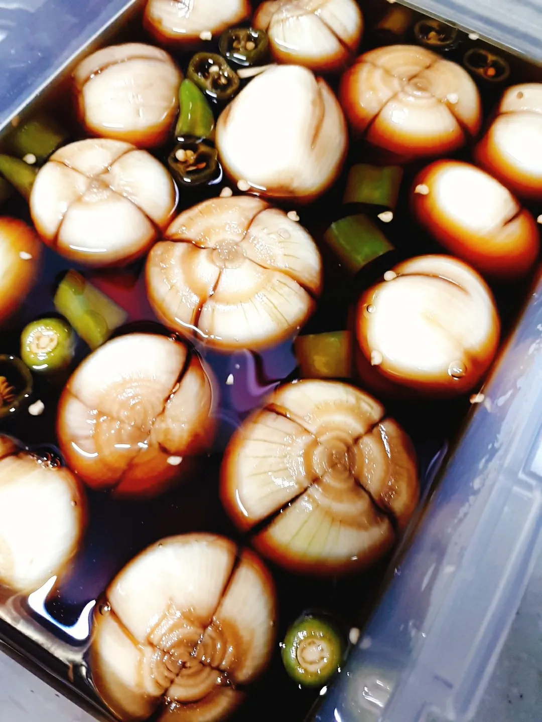 햇양파 장아찌 만드는 식초 활용법과 보관법 정리_1