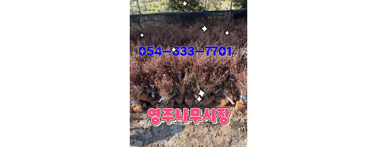 봉화군 조경