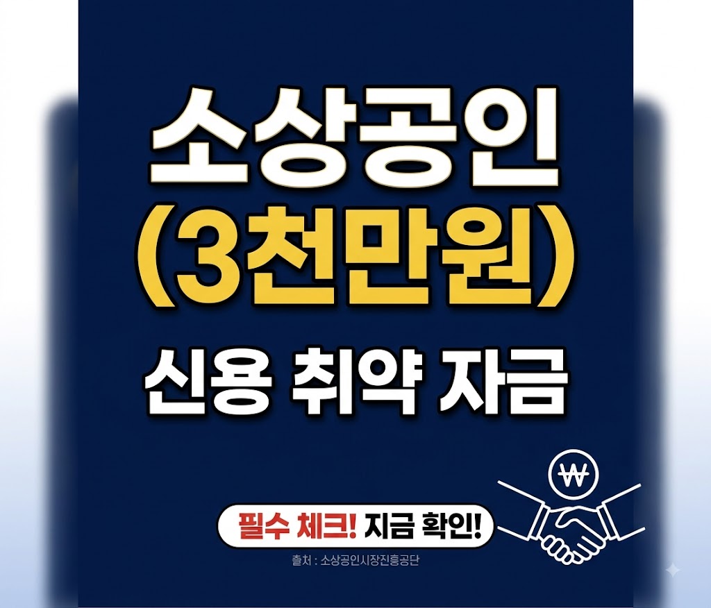 신용 취약 자금