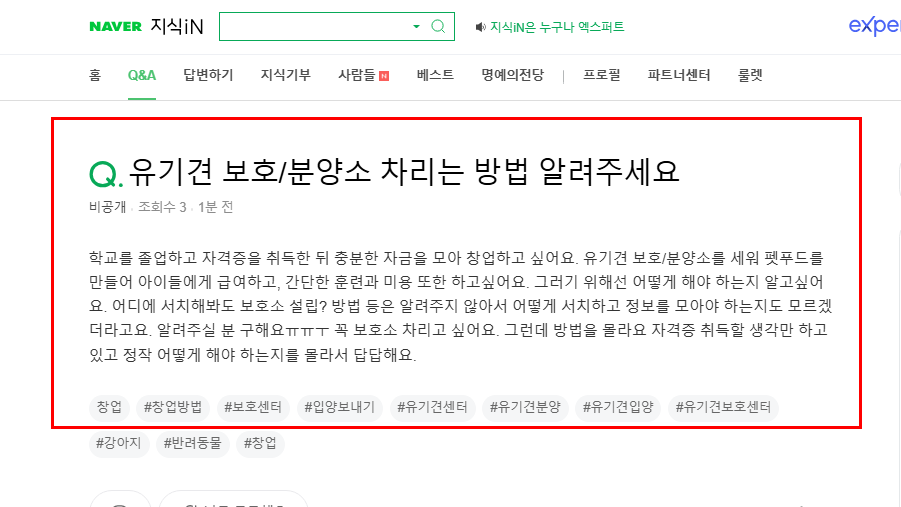 유기견 분양소 창업 질문 지식인