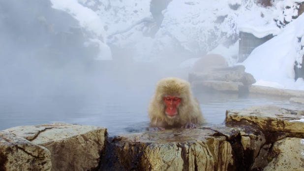 부모님과 함께하는 가족 온천 여행 추천