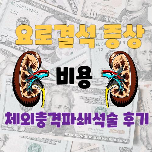 요로결석 증상