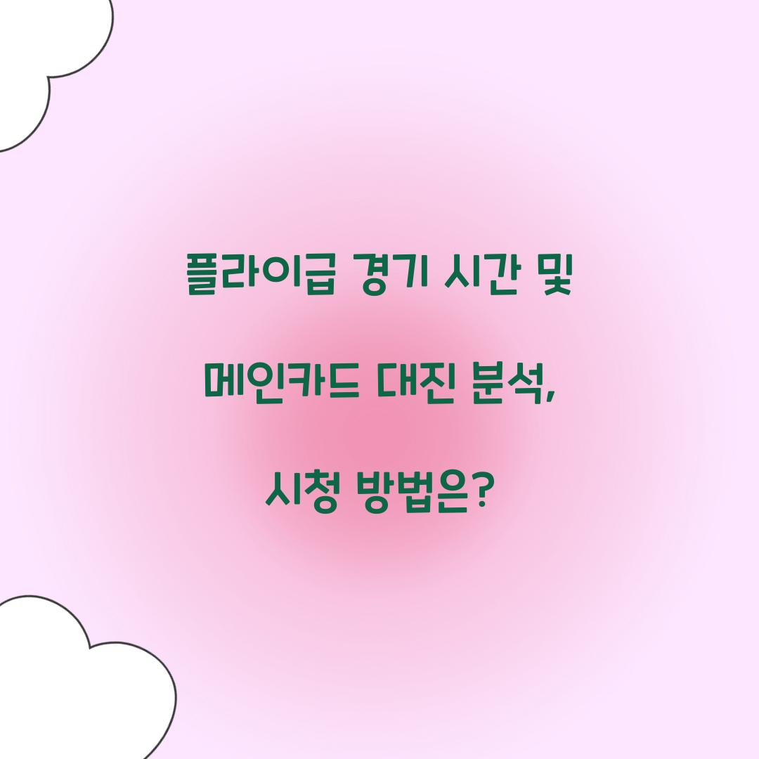 플라이급 경기 시간