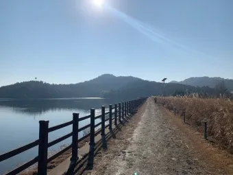 춘천 호수 산책 소양강 스카이워크 닭갈비 동선_6