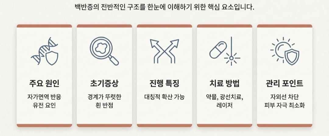 백반증원인-사진2