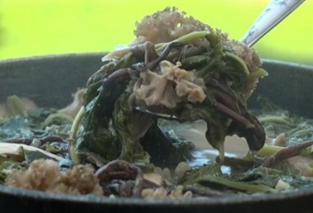 고로쇠능이백숙