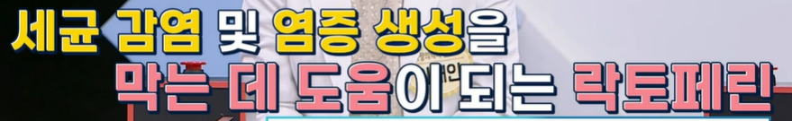 락토페린 효능