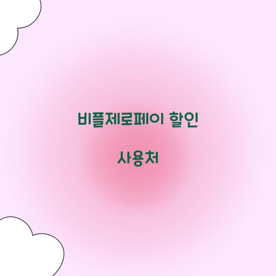 비플제로페이 할인 사용처