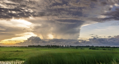 무공해 차량 혜택