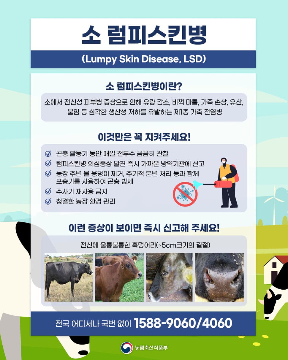 럼피스킨병 개요