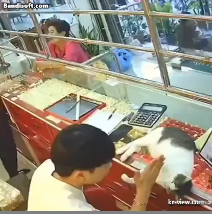 img.webp?credential=yqXZFxpELC7KVnFOS48ylbz2pIh7yKj8&expires=1767193199&allow_ip=&allow_referer=&signature=kWw4bnvdc8taYjY43Xozg%2FCO%2Fwg%3D