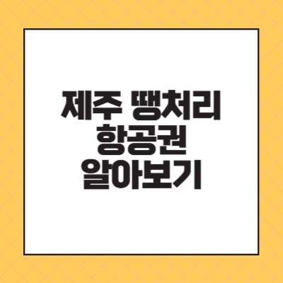 제주 땡처리 항공권 알아보기