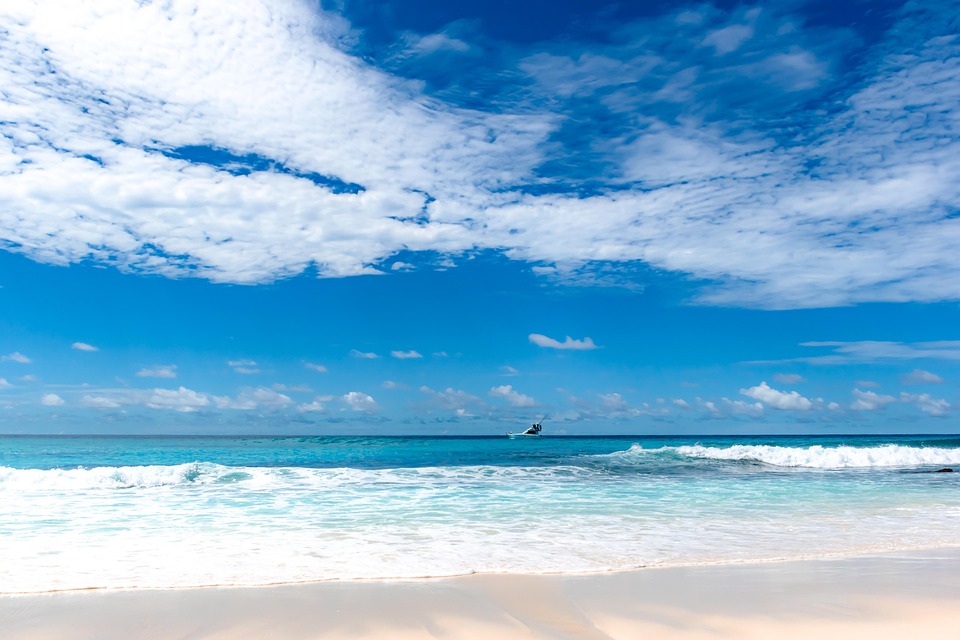 쇼코트라섬사진