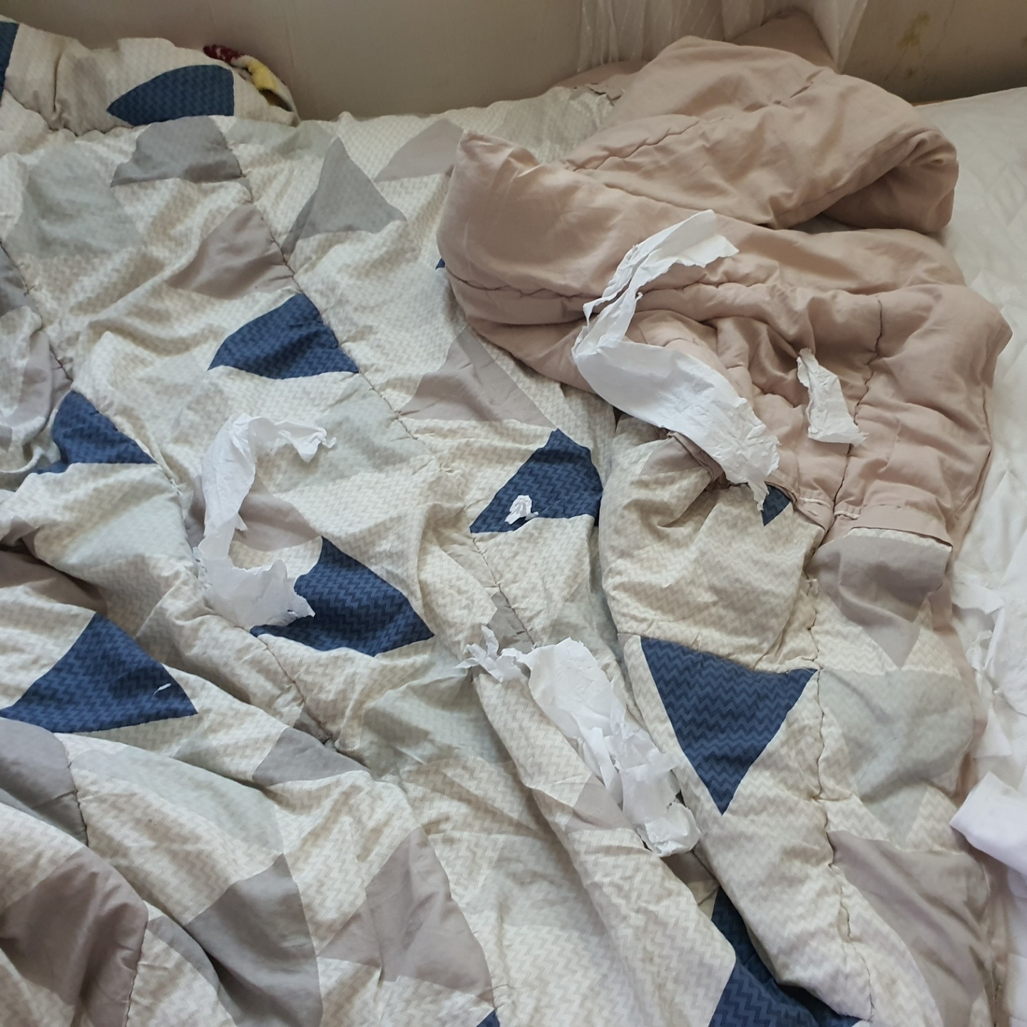 널부러진 휴지 조각들