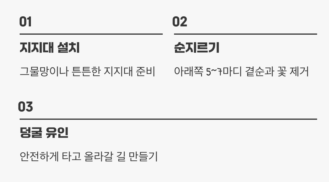 하늘을 향한 욕망, 덩굴 길들이기