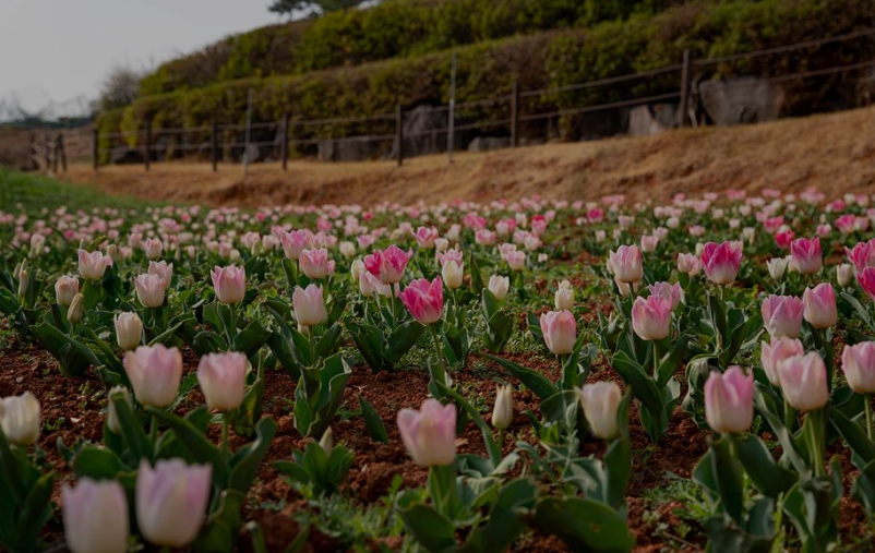 양지암 조각공원 