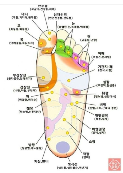발바닥 혈자리