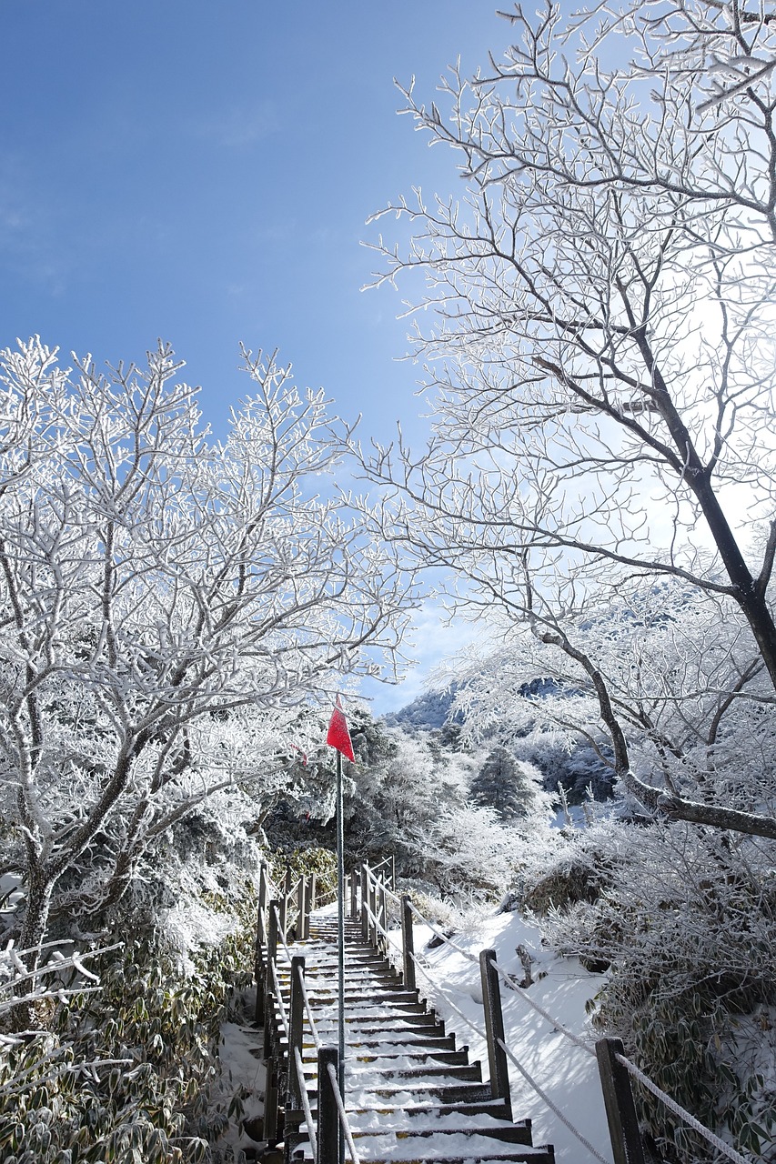 안전하게 겨울 산행을 즐기세요!
