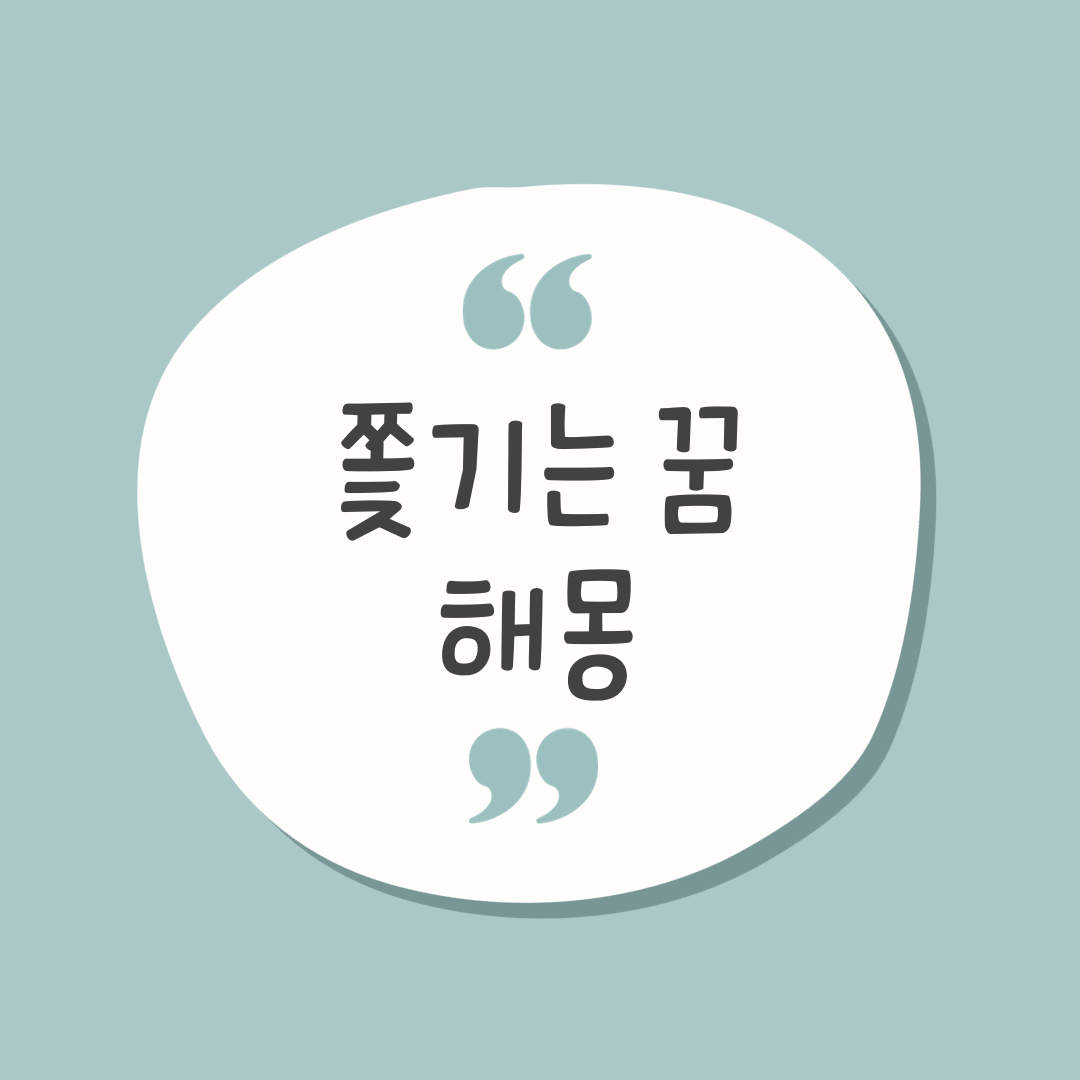 쫒기는 꿈 종류