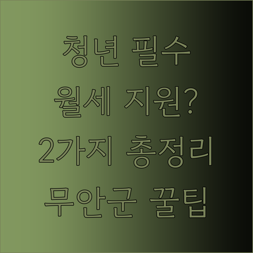 무안군 청년월세 지원 2가지 총정리 ..