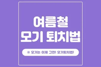 모기 박사님 추천 모기 퇴치법과 여름철 모기 없는 집 만들기 실전 전략_20