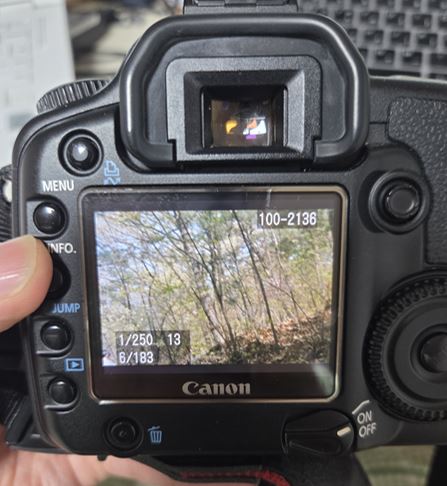 시간이 멈춘 듯한 정갈한 색채 Canon EOS 30D APS-C 센서가 보여주는 빛의 진심