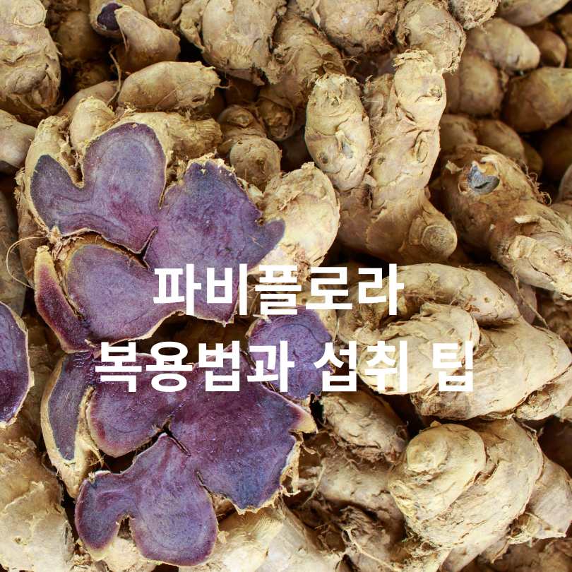 파비플로라 효능과 부작용 총정리! 다이어트에 정말 효과 있을까?