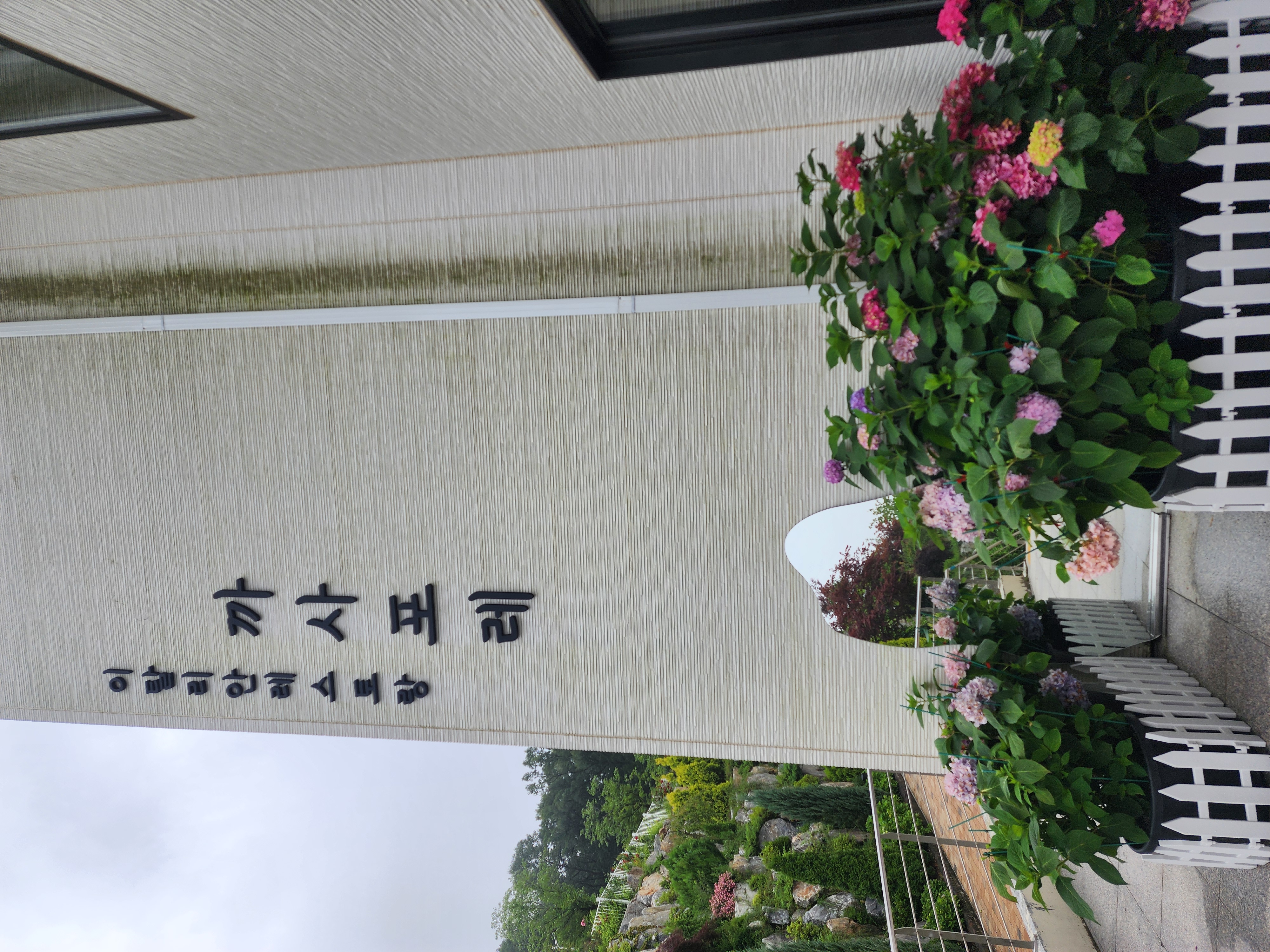 베툴라 in 용인