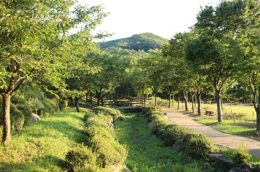 용인자연휴양림-예약-휴양림-산책길