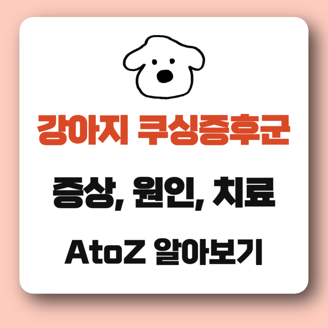 강아지 쿠싱증후군 증상, 원인, 치료 알아보기