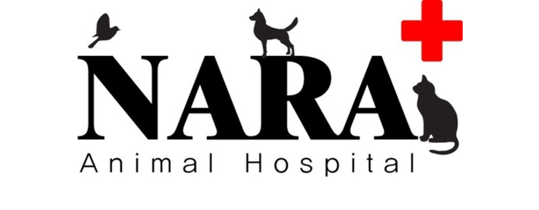 이천시 동물병원