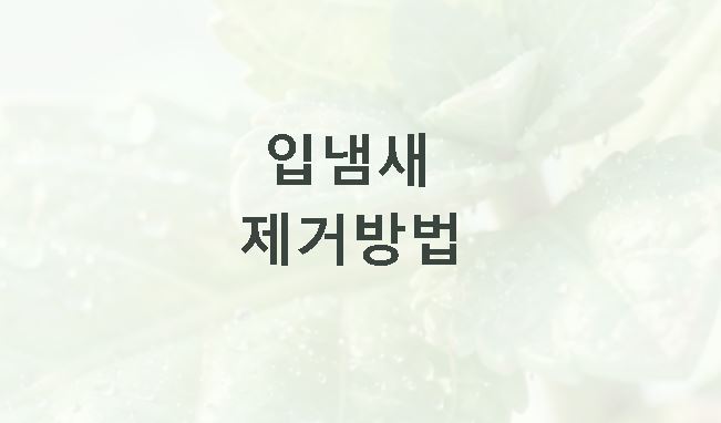 입냄새 제거방법 원인별 관리 지표