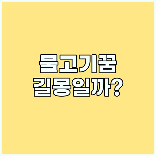 물고기 꿈 해몽: 놓치면 후회할 꿈의