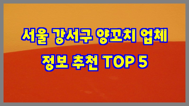 서울 강서구 양꼬치