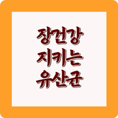 장건강지키는유산균