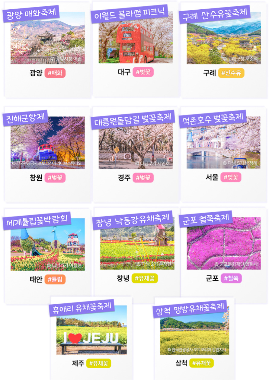 봄꽃 축제 관련 이미지