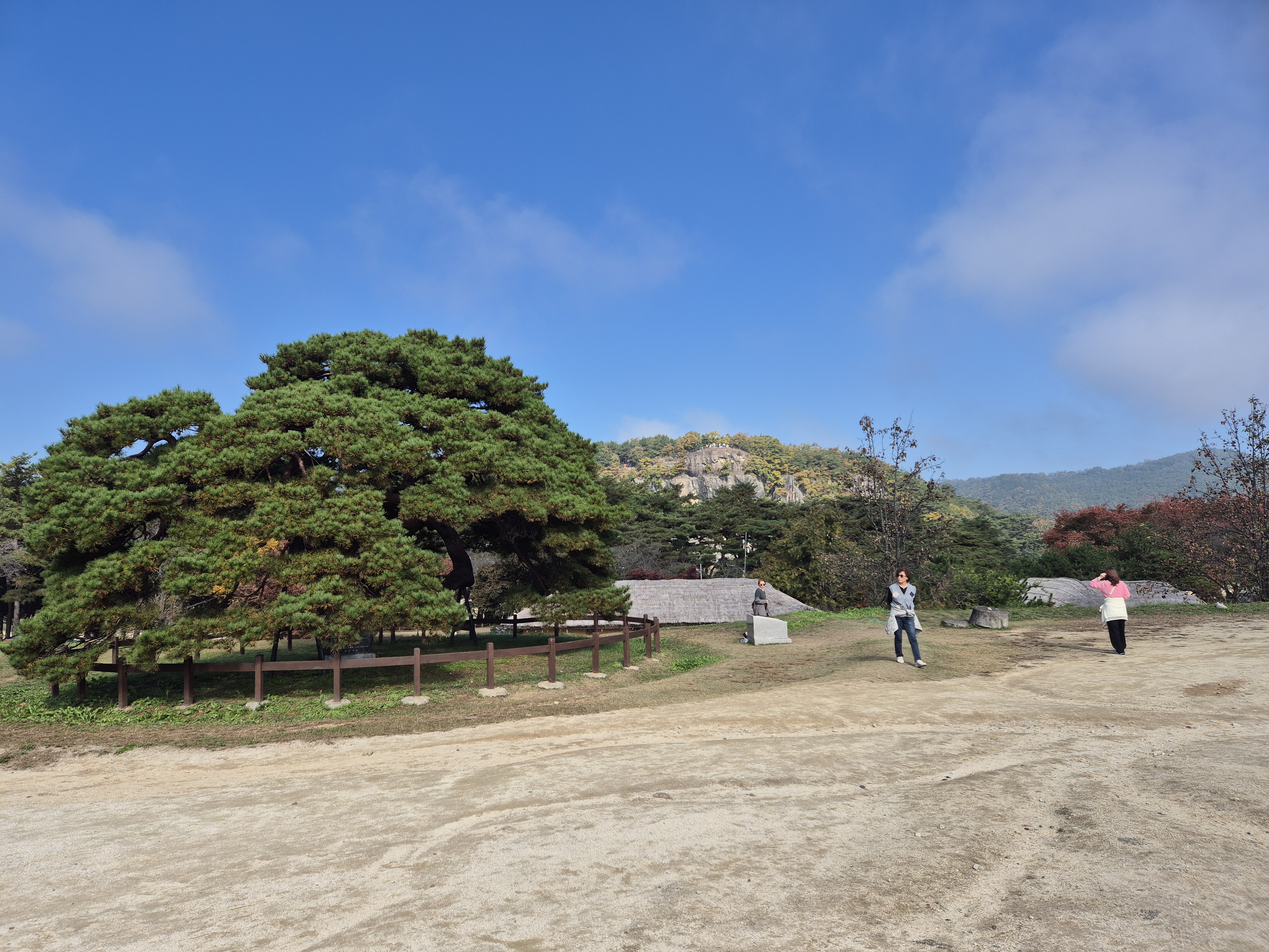 하회마을에서 본 부용대