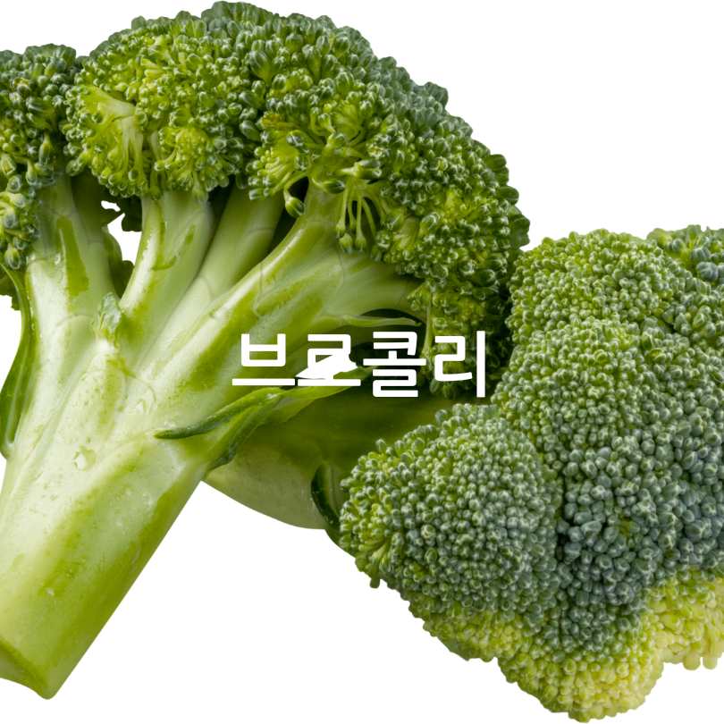 세계10대 항암식품