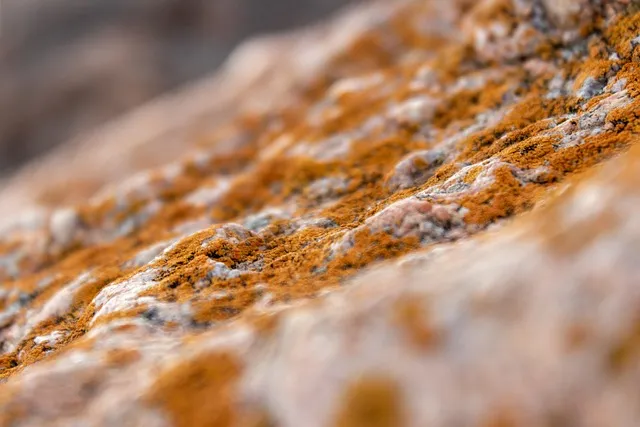 장마철 곰팡이 제거방법 꿀팁 정리 완벽 가이드_1