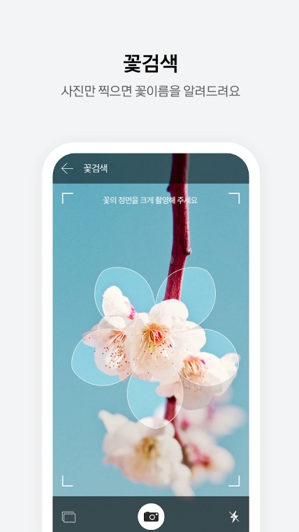 다음 앱에서 제공하는 꽃 검색 기능의 실제 실행 화면