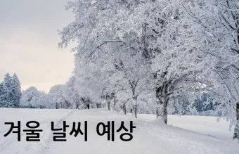 2025년 3월 4월 5월 날씨 전망 봄 날씨 예보_14