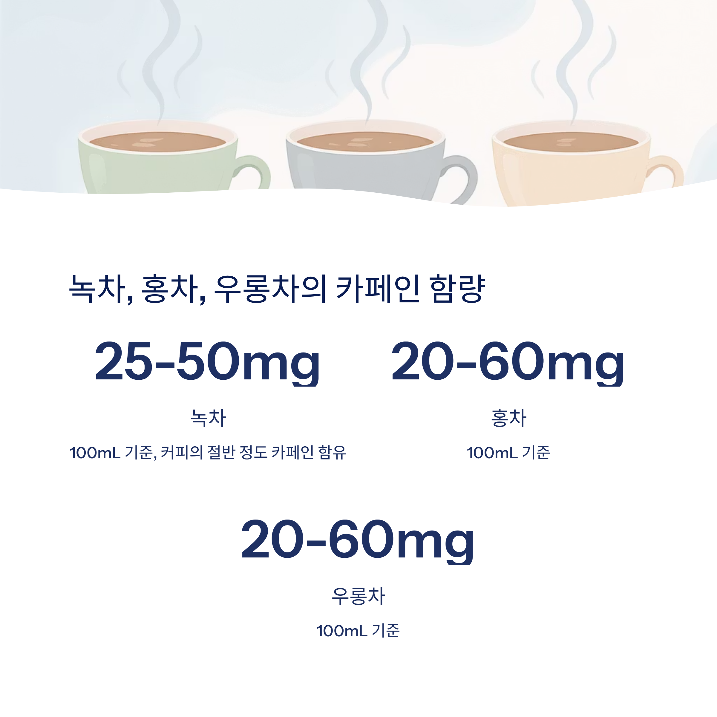 녹차 홍차 우롱차 카페인 함량