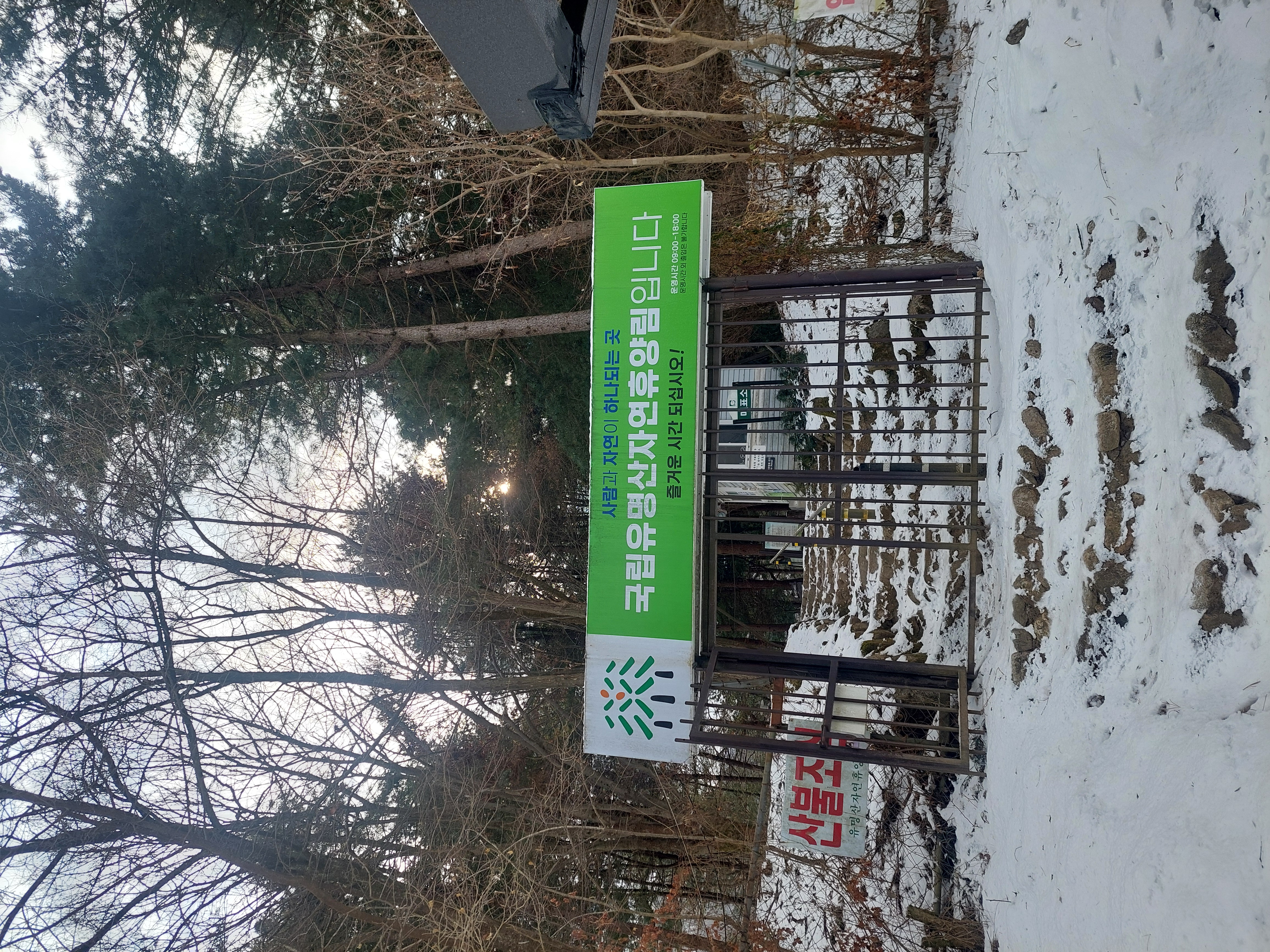 유명산