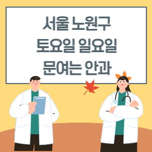 서울 노원구 토요일 일요일 안과 진료 병원 리스트