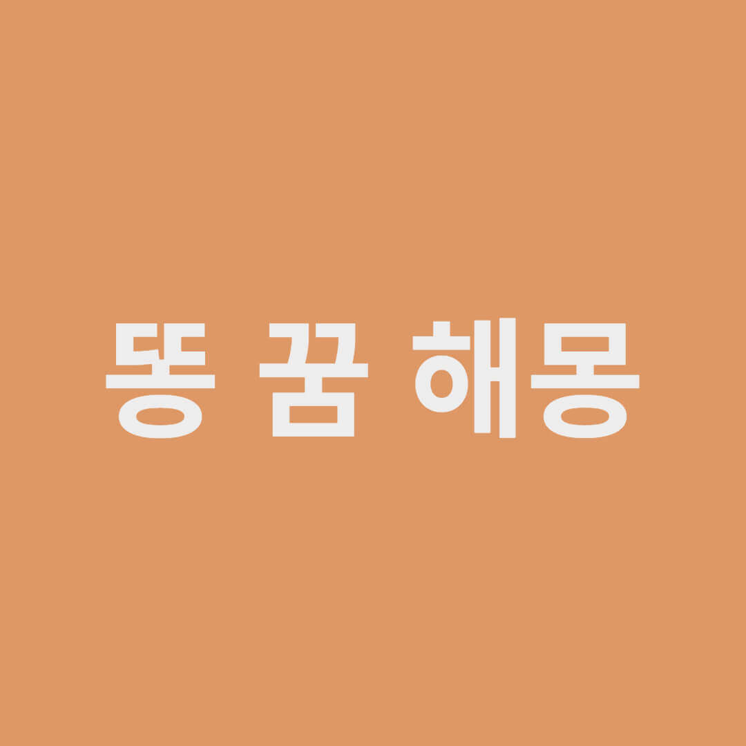 똥 꿈해몽