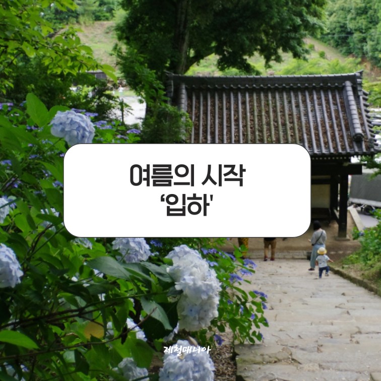 여름절기 입하