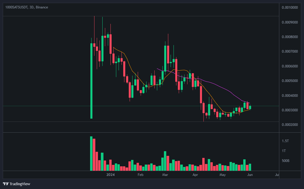 사토시(1000SATS) 코인 차트분석