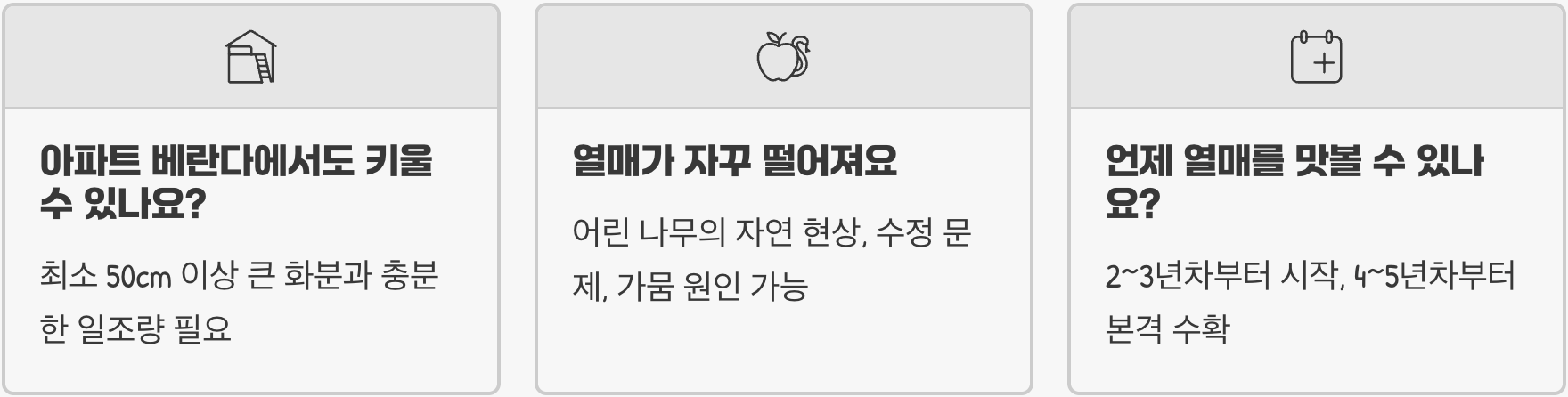 초보 텃밭러도 성공! 실패 없는 루비로망 포도 키우기 (모종 선택부터 수확까지 A to Z)