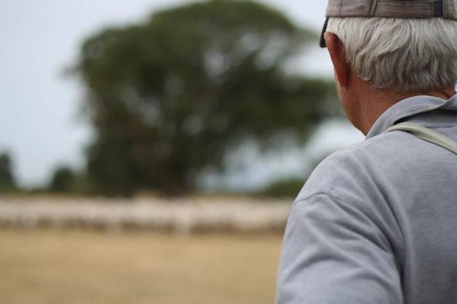 노인인구 1000만 돌파, 국내 1인 가구 비율 36% 역대 최고